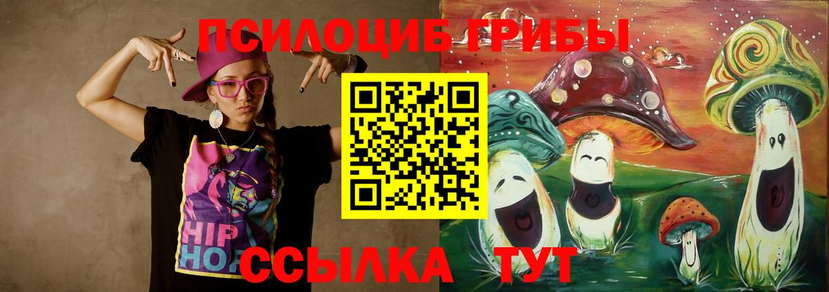 Элиста  Псилоцибиновые грибы мицелий  цена   Вход с VPN 